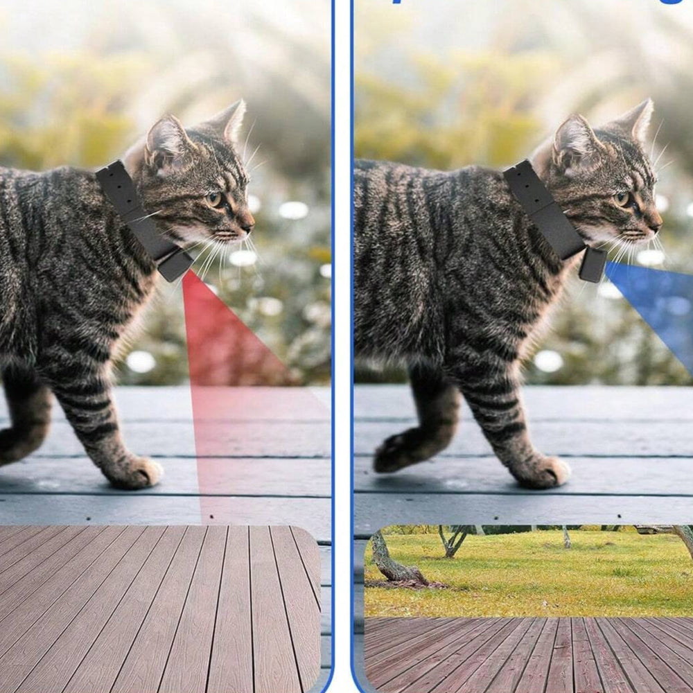 CALORA_ Draagbare 160 Graden Camera voor Katten en Honden met 1080P Video