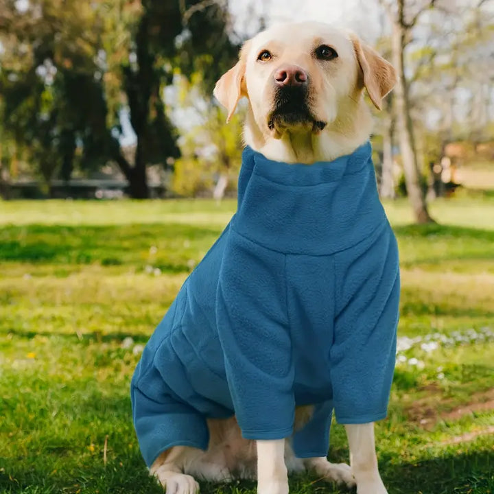 Winddichte Winterjas voor kleine en grote Honden – Warme Pyjama