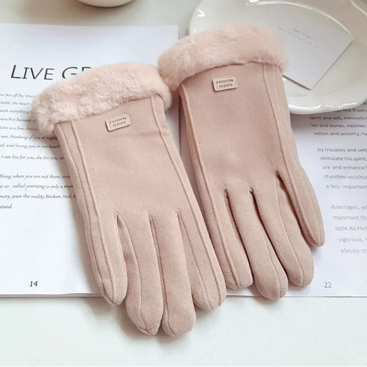 Vrouwen Winter Dikke Pluche Handschoenen