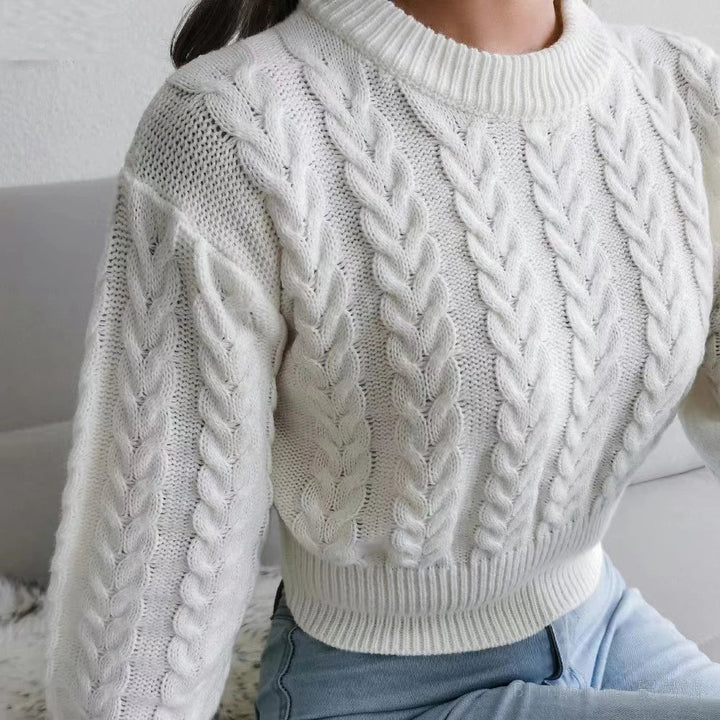 Casual winter basics gebreide crop top trui voor dames