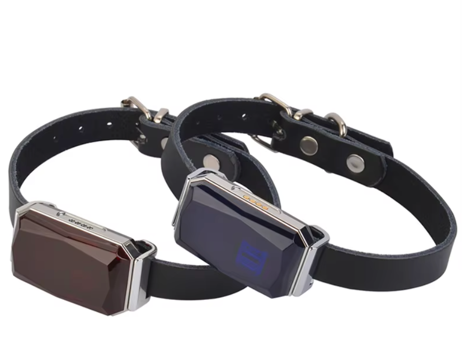 CALORA_ Mini GPS Tracker voor Veiligheid en Echtijd Locatiebepaling