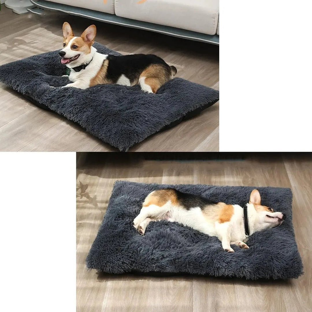 Suso | Zacht Comfortabel Honden Bed - honden mand - 90x70cm - #Calora#