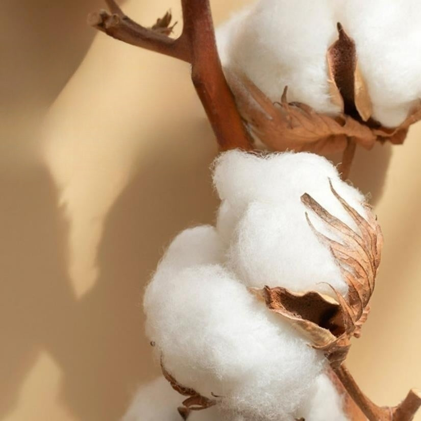 CALORA_ Luxe Geborduurd Satijnen Katoen Beddengoed Set - 4-delig - Comfortabel en Ademend